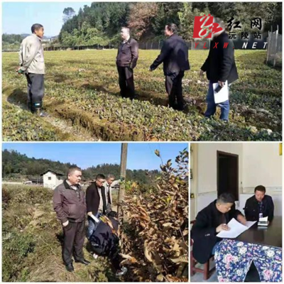 縣林業(yè)局開展雙隨機(jī)檢查與誠(chéng)信宣傳，打造陽(yáng)光執(zhí)法生態(tài)環(huán)境