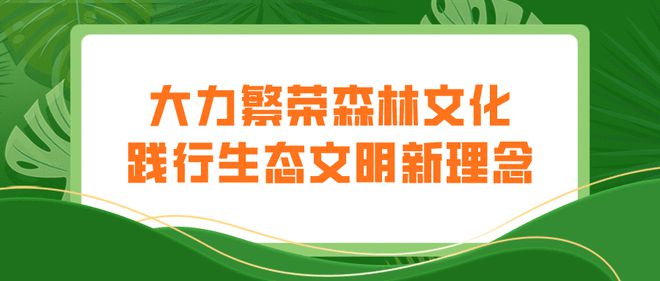 生態(tài)廊道繪就綠色畫(huà)卷 衢州林業(yè)“十四五”規(guī)劃發(fā)布下的詩(shī)畫(huà)風(fēng)光帶新生